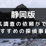静岡県でおすすめの探偵事務所と浮気調査の費用目安