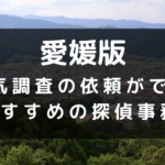 愛媛県でおすすめの探偵事務所と浮気調査の費用目安